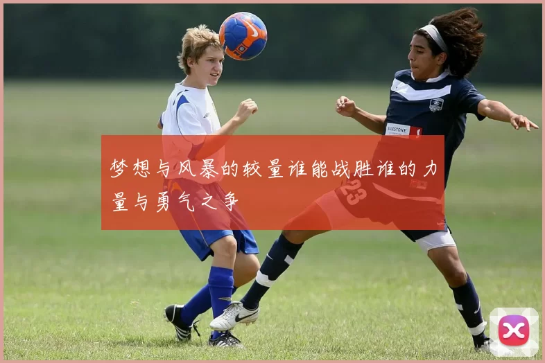 梦想与风暴的较量谁能战胜谁的力量与勇气之争