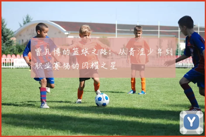 曾凡博的篮球之路：从青涩少年到职业赛场的闪耀之星